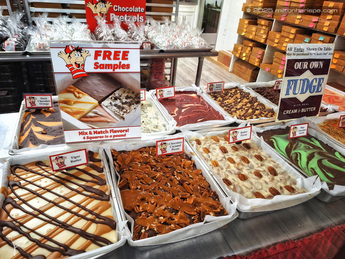 031 20230616 180038 Edit